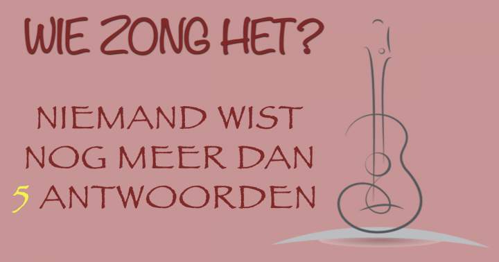 Banner for Wie zongen deze hits?