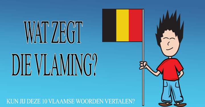 Banner for Vlaams voor beginners