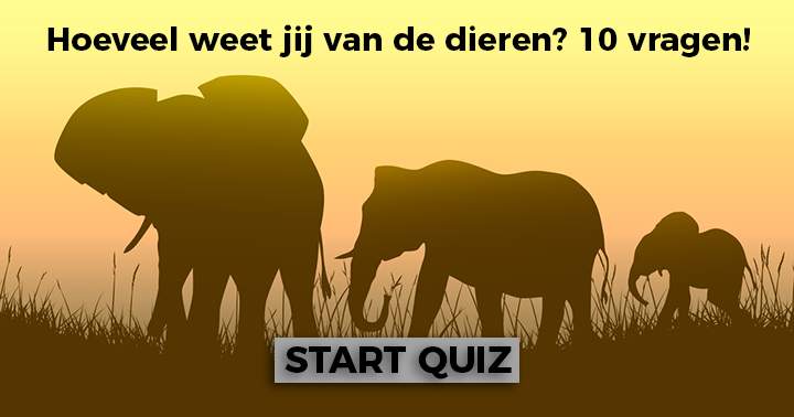 Banner for Hoeveel weet jij over het prachtige dierenrijk?