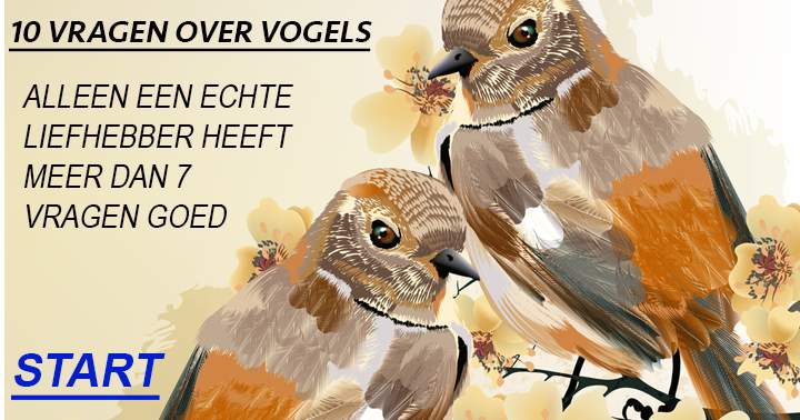 Banner for Vogelquiz voor de echte liefhebber