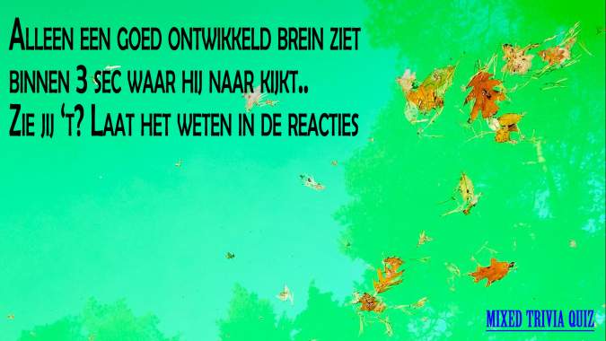 Banner for Heb jij een goed ontwikkeld brein?