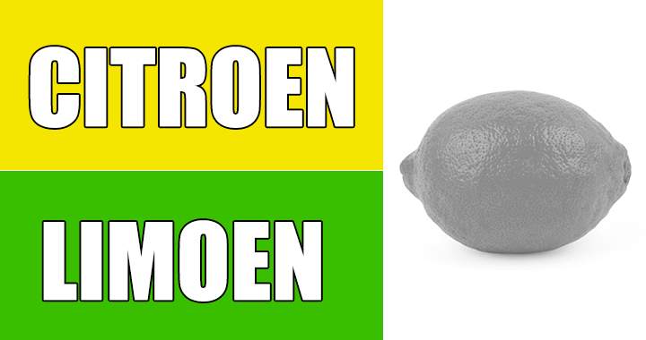 Banner for Herken jij deze 10 producten zonder hun kleuren?