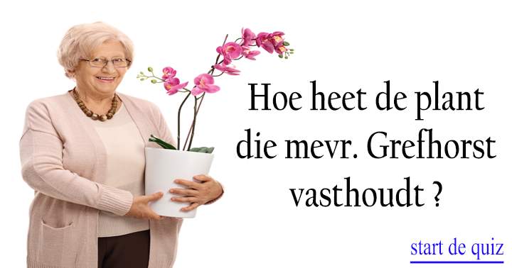 Banner for Weet jij welke plant mevr. Grefhorst vasthoudt?