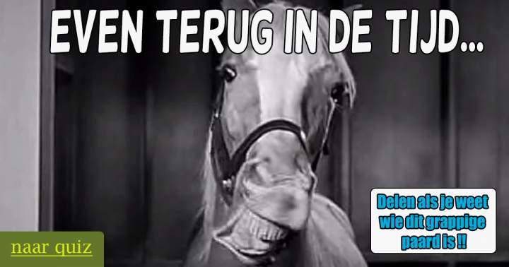 Banner for Herken jij het paard?