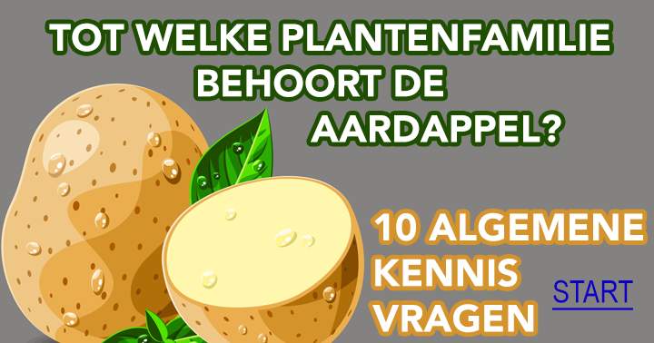 Banner for 10 algemene kennis vragen die je perse goed wil beantwoorden