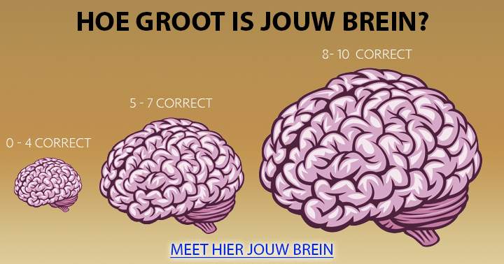 Banner for Doe deze quiz, en meet de grootte van jouw brein