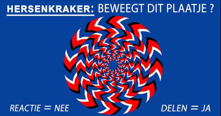 Banner for Beweegt het plaatje?