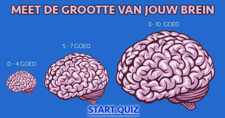 Banner for Meet de grootte van je hersenen aan de hand van deze quiz