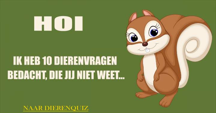 Banner for Quiz: Dierenquiz