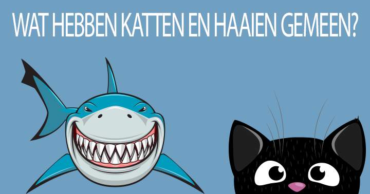 Banner for Dieren Quiz