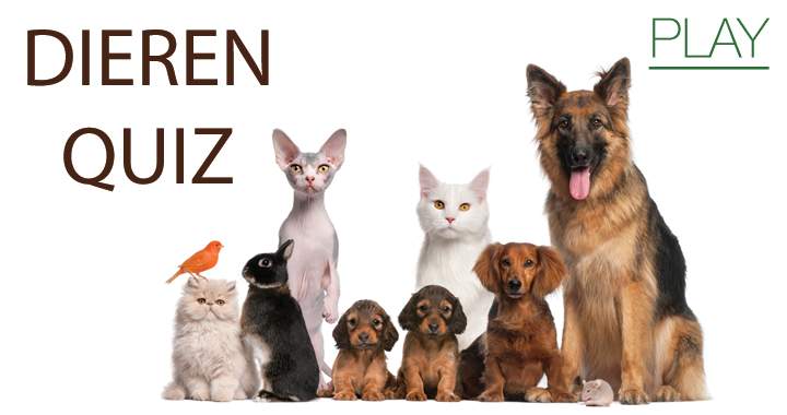 Banner for Een beestachtig goeie quiz!